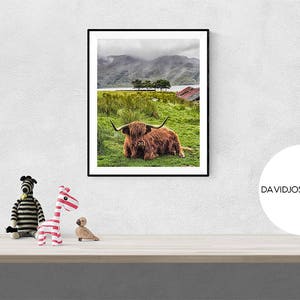 Highland Cow Print, Highland Bull Print, Printable Decor, Farm Wall Art, Cattle Photography, Digital Download, Highland Cow Printable image 3