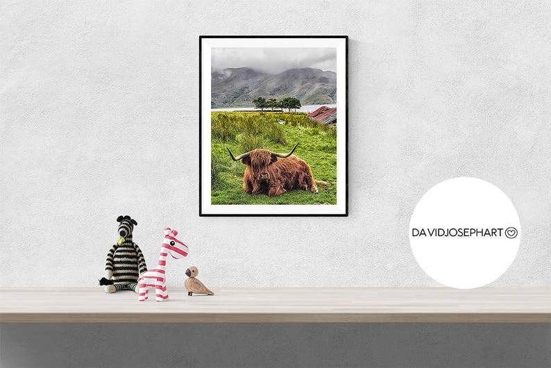 Highland Cow Print, Highland Bull Print, Printable Decor, Farm Wall Art, Cattle Photography, Digital Download, Highland Cow Printable image 3