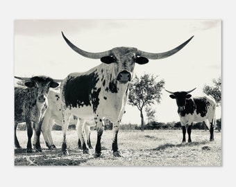 Longhorn Cow Print, Texas Wall Art, Black and White, Farm Poster, Longhorn Picture, Longhorn Wall Art, Longhorn Decor, Texan Cow Poster