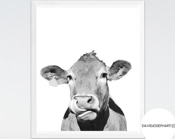 Cow Print, Cow Wall Art, Black and White, Animal Photography, Modern Print, Farm Animal Print, Minimalist Print, Digital Download