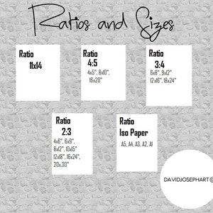 May include: A chart showing different aspect ratios and their corresponding sizes in inches. The ratios include 11x14, 4:5, 3:4, 2:3, and Iso Paper. The chart also includes the standard sizes for each ratio.