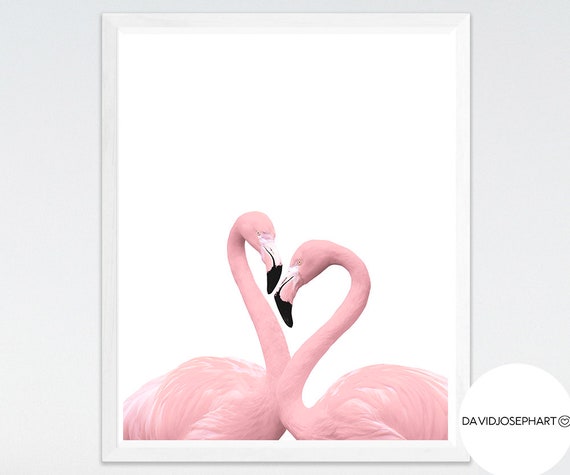 Flamingo Herz Druck Flamingo Poster Rosa Flamingo Natur Etsy