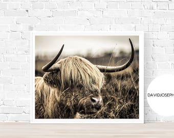 Highland Cow Print, Highland Cow Photography, Farm Animal Poster, Cattle Wall Art, Scottish Cow Decor, Digital Download, Nursery Print