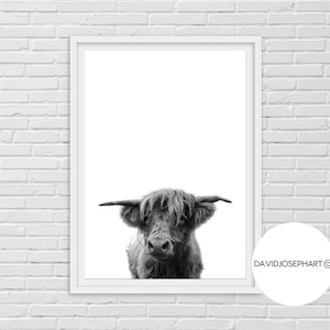 Highland Cow Print, Black and White, Highland Bull Print, Printable Decor, Farm Wall Art, Cattle Photography, Digital Download