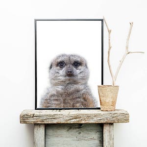 Meerkat Print, Meerkat Wall Art, Animal Photography, Minimalist Print, Instant Download, Meerkat Decor, Meerkat Poster, African Print