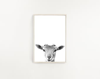 Goat Print, Goat Wall Art, Goat Printable, Modern Minimalist, Black and White, Digital Download, Animal Photography, Goat Decor