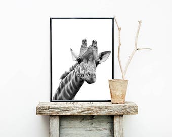 Giraffe Photography Print, Black and White Animal Poster (Digital Download)