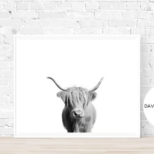 Highland Cow Print, Black and White, Highland Bull Print, Animal Photo, Farm Wall Art, Cattle Photography, Nursery Poster, Living Room Print