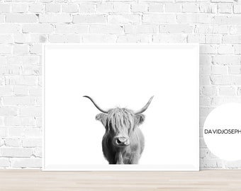 Highland Cow Print, Black and White, Highland Bull Print, Animal Photo, Farm Wall Art, Cattle Photography, Nursery Poster, Living Room Print