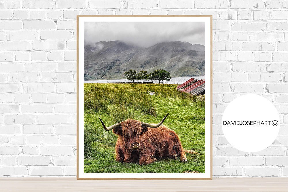 Highland Cow Print, Highland Bull Print, Printable Decor, Farm Wall Art — free download