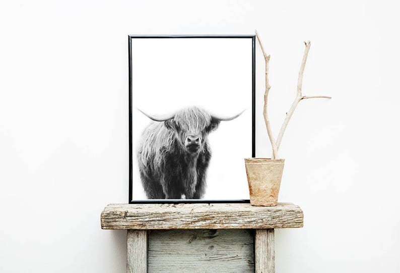 Highland Cow Print, Farm Animal Wall Art, Black and White, Digital