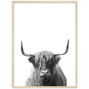Highland Cow Print with a Frame, Black and White, Highland Bull Print, Home Decor, Farm Wall Art, Cattle Photography, Hairy Cow Print