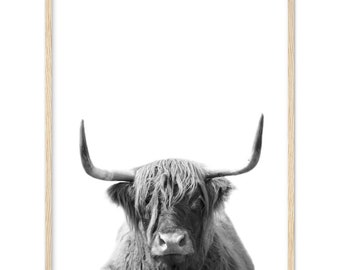 Framed Highland Cow Print, Black and White Cattle Photography, Farmhouse Wall Decor