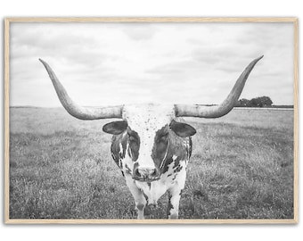 Framed Longhorn Print, Texas Farmhouse Decor, Modern Minimalist