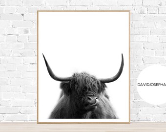 Highland Cow Print, Black and White, Highland Bull Print, Printable Decor, Farm Wall Art, Cattle Photography, Digital Download