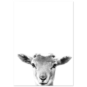 Cartel de cabra, arte de pared de cabra, cabra imprimible, minimalista moderno, blanco y negro, arte de pared de vivero, fotografía de animales, decoración de cabra