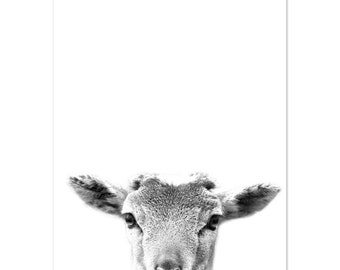 Goat Poster, Goat Wall Art, Goat Printable, Modern Minimalist, Black and White, Nursery Wall Art, Animal Photography, Goat Decor