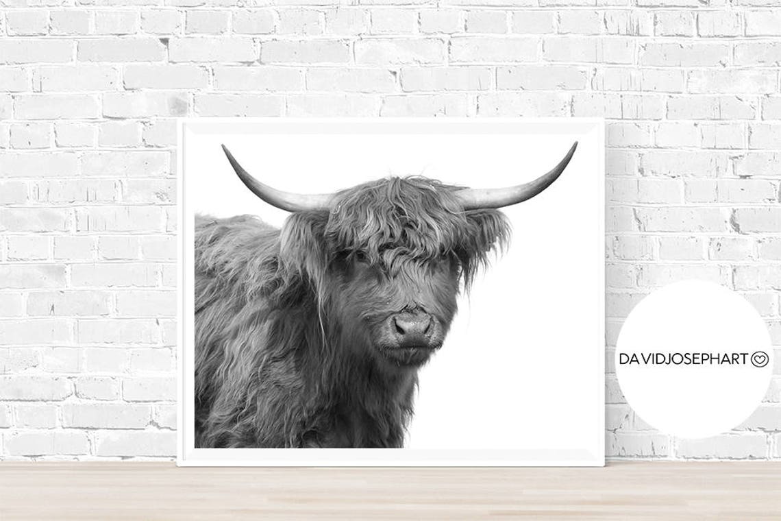 Highland Cow Print, Highland Bull Print, Farm Animal Print, Cow — free download