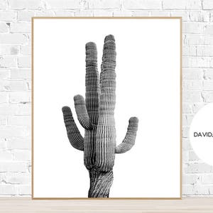 Kaktus-Druck, schwarz und weiß, Wüste Druck, mexikanische, Arizona, Kaktus Wandkunst, Kaktus Poster, Wüste Wandkunst, botanische Druck