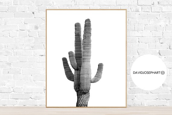 Cactus Print Black And White Desert Print Mexican Arizona Etsy