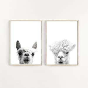 Set van 2, Alpaca Print, Alpaca Foto, Lama Print, Dierenfoto, Woodlands Nursery, Digitale Download, Zwart-wit, Alpaca Poster