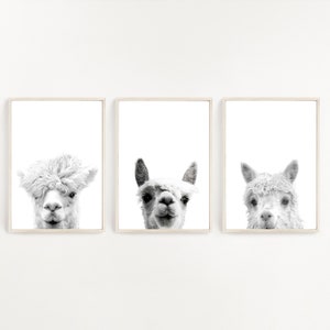 Set van 3 Alpaca's, Alpaca Print, Kwekerij Wall Art, Digitale Download, Zwart-wit, Alpaca Wall Art, Alpaca Foto, Lama Print, Minimalistisch