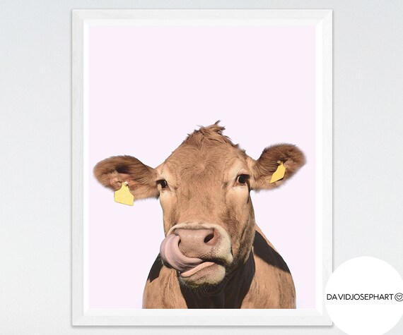 Cow Print Cow Wall Art Cow Decor Animal Photography Modern Etsy