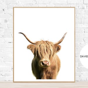 Highland Cow Print, Highland Bull Print, Printable Decor, Farm Wall Art, Cattle Photography, Digital Download, Scottish Cow Print