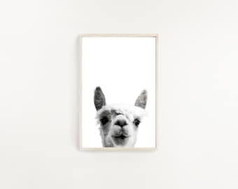 Alpaca Portrait Print, Nursery Wall Art (Digital Download)