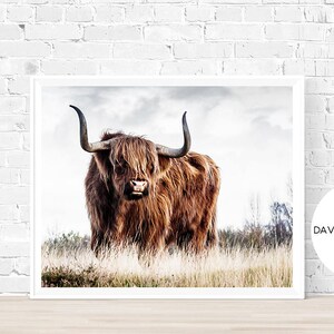 Highland Cow Print, Farm Animal Wall Art, Scottish Cow Print, Animal Print, Cow Photography, Cattle Print, Digital Download, Cow Decor