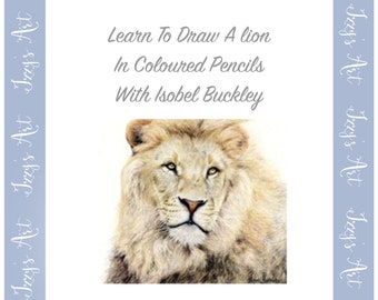 Learn To Draw A Lion In Coloured Pencils Digital Download