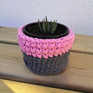 May include: A small succulent plant in a gray and pink crocheted pot. The pot is made of thick yarn and has a pink top and a gray bottom.