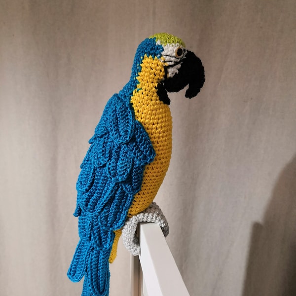 PERROQUET ARA -PARROT / English pattern et patron en  français - Tutoriel crochet - Amigurumi - modèle