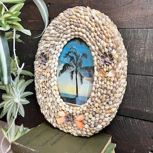May include: Oval seashell picture frame with a tropical scene. The frame is covered in various seashells and adorned with decorative accents. The framed image features a palm tree silhouette against a sunset sky. A unique coastal decor item.