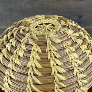 May include: A round, hand-coiled basket lid featuring a dense, circular weave pattern. The construction utilizes alternating rows of dark brown, dried pine needles and light tan, fibrous stitching material, creating a textured, radial design.