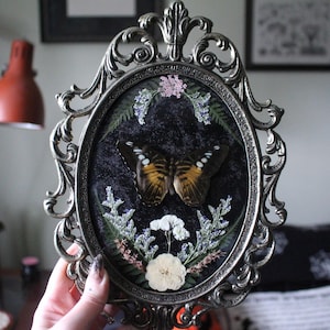 Puede incluir: Un marco ovalado plateado adornado encierra una mariposa preservada con alas marrones y blancas, sobre un fondo oscuro. Delicadas flores secas y vegetación rodean la mariposa, creando una exhibición botánica única. El marco es sostenido por una mano.