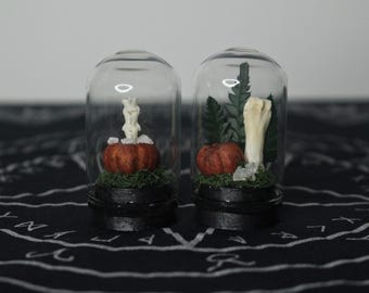 Small Bone and Pumpkin Trinkets // Terrarium