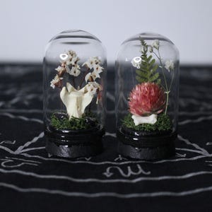 May include: Two glass cloches with black bases, each containing dried flowers and a bone. One features white flowers and a bone, the other a red flower and a bone. The cloches sit on a black surface.