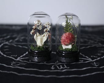 Small Bone and Flower Trinkets 2 // Terrarium