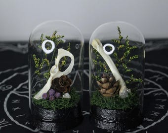 Grote botten en dennenappels: koepelvormige cloche-sieraad // terrarium