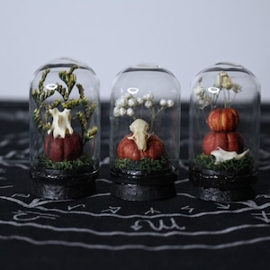May include: Three glass domes with black bases, each containing a small red pumpkin, green moss, and dried white or yellow flowers. The center dome features a small animal skull, while the others contain a skull fragment and a stacked pumpkin.