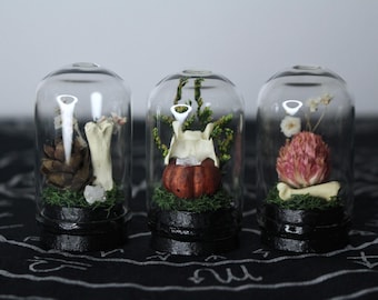 Small Bone and Flower Trinkets // Terrarium