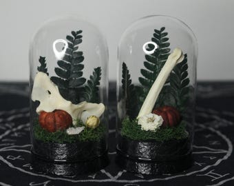 Large Bones and Pumpkins: Domed Cloche Trinket // Terrarium