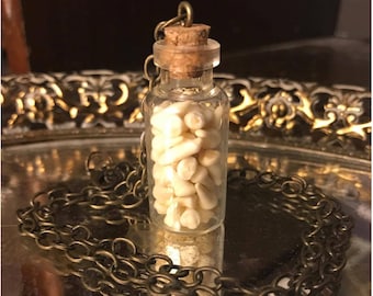 Teeth Glass Vial Gothic Animal Necklace - Bronze Chain (Vial Pendant Gothic Bone Necklace Vial Necklace Tooth Necklace Animal Bone Necklace)