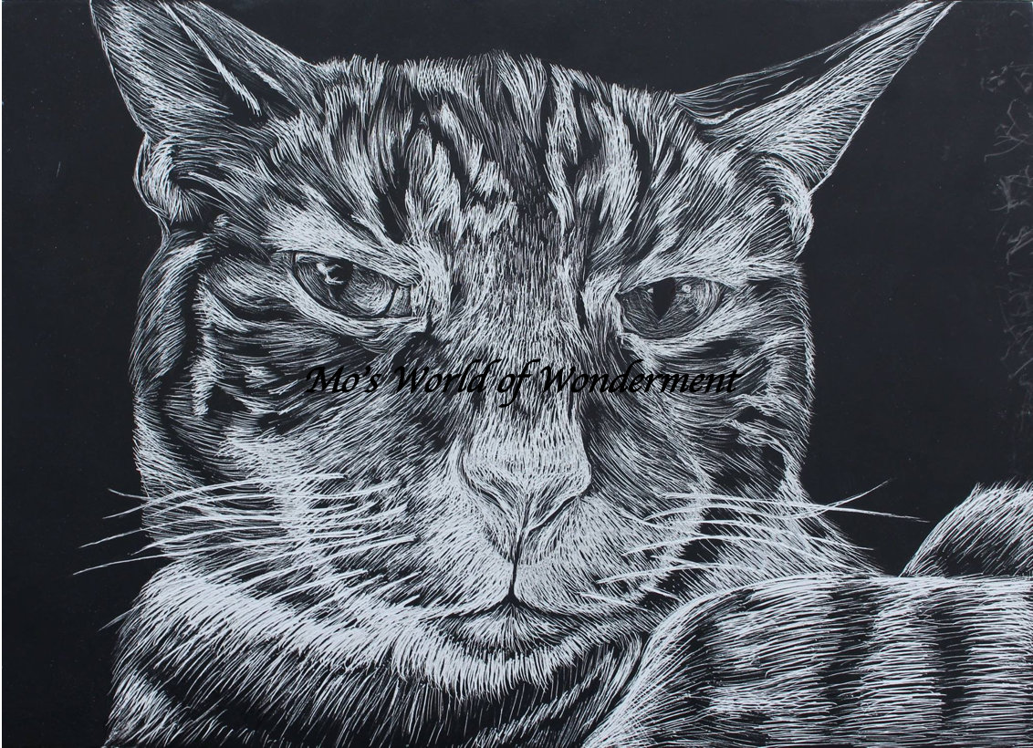 Scratchboard Art