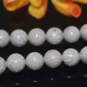 Natural Fossil Coral Jasper beads Ivory color beads smooth round Beads,4mm 6mm 8mm 10mm 12mm Fossil Coral beads wholesale supply.15&quot; strand