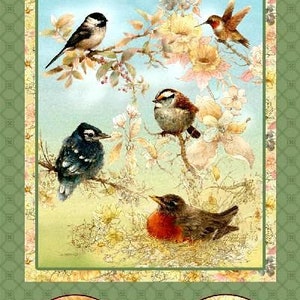 May include: A vintage-style illustration featuring a variety of birds perched on branches and flowers. The birds include a robin, a chickadee, a hummingbird, and a blue jay. The text "May all your dreams take flight" is displayed at the top of the image.