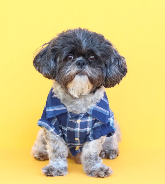 dog button up shirt