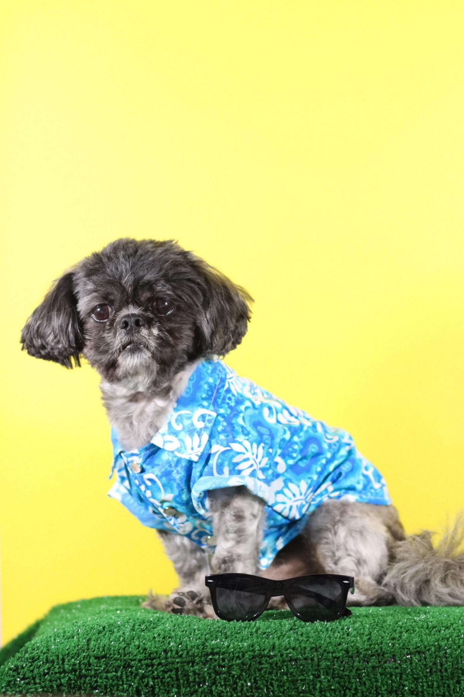 uniqlo tennis apparel