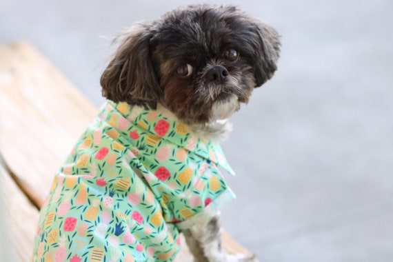 pineapple dog shirt